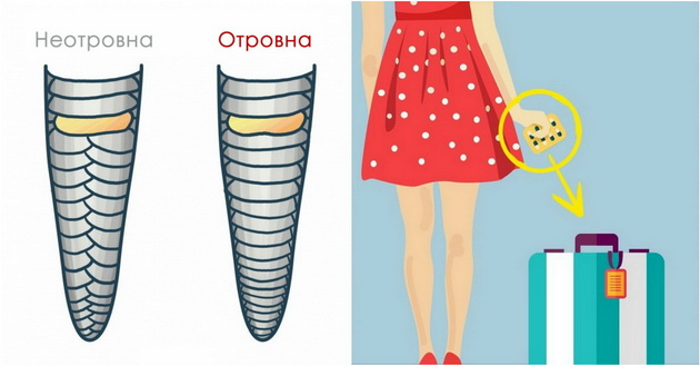 soveti-i-fakti-koi-eden-den-moze-da-vi-go-spasat-zivotot-001.jpg