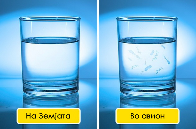 10-raboti-koi-mu-se-slucuvaat-na-teloto-dodeka-letate-so-avion-10.jpg