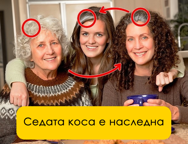 ako-imate-seda-kosa-ne-znachi-deka-ste-ostarele-koi-se-prichinite-03.jpg