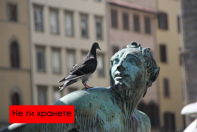 baknuvanje-na-zheleznichka-stanica-plakjanje-so-sitni-pari-8-raboti-koi-se-zabraneti-niz-svetot-06.jpg