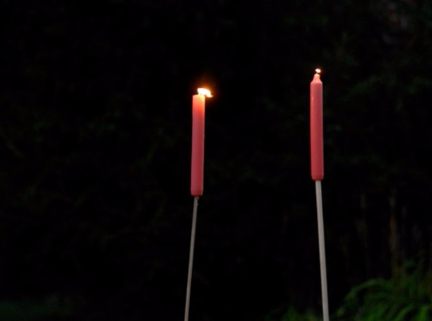 14-trikovi-koi-ke-vi-go-olesnat-kampuvanjeto-14.jpg