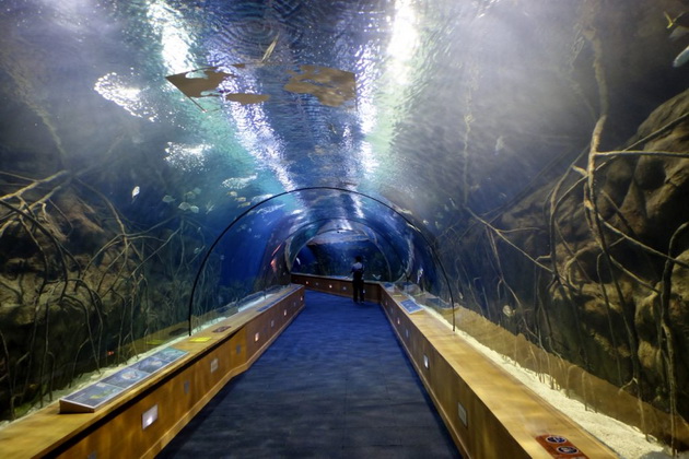 magijata-na-podvodniot-svet-najubavite-akvariumi-koi-vredi-da-gi-posetite-02.jpg