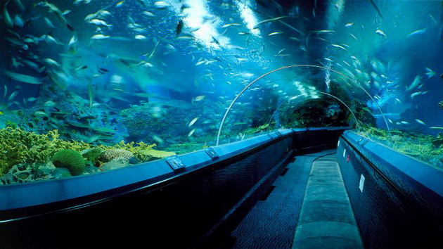 magijata-na-podvodniot-svet-najubavite-akvariumi-koi-vredi-da-gi-posetite-04.jpg