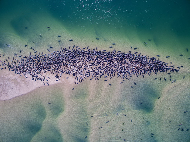 neverojatni-fotografii-od-dron-koi-ni-go-prikazhuvaat-svetot-vo-spektakularen-izgled-04.jpg