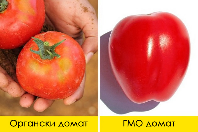 3-ednostavni-nacini-kako-da-prepoznaete-dali-proizvodot-e-gmo-ili-organski-002.jpg