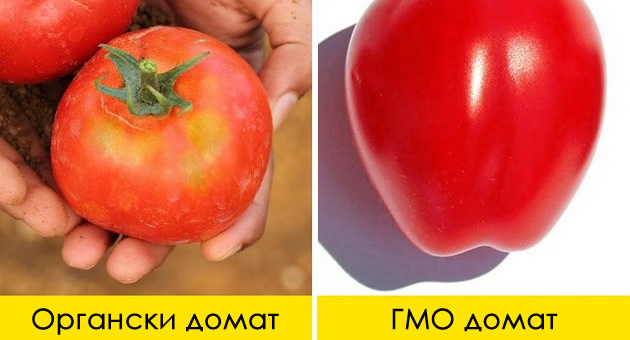 3-ednostavni-nacini-kako-da-prepoznaete-dali-proizvodot-e-gmo-ili-organski-1.jpg