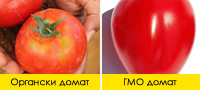 3-ednostavni-nacini-kako-da-prepoznaete-dali-proizvodot-e-gmo-ili-organski-povekje001.jpg