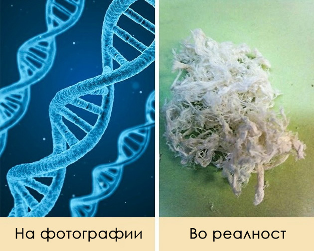 8-raboti-za-koi-site-sme-slushnale-no-nikogash-ne-sme-gi-videle-02.jpg