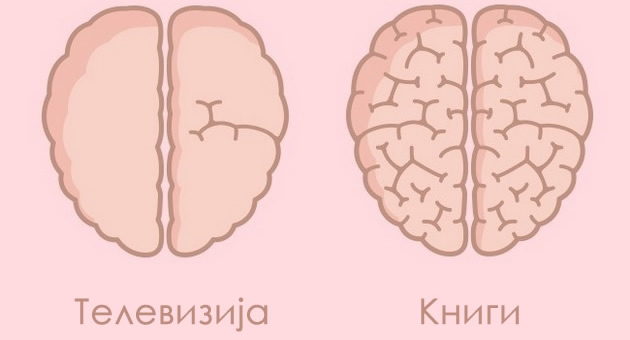 9-neverojatni-primeri-koi-pokazhuvaat-kako-sekojdnevieto-vlijae-na-nashiot-mozok-01.jpg