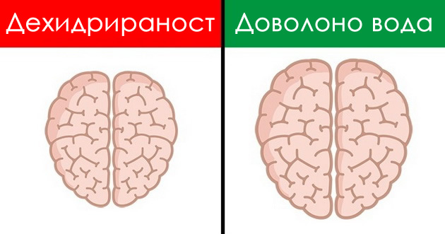 9-neverojatni-primeri-koi-pokazhuvaat-kako-sekojdnevieto-vlijae-na-nashiot-mozok-04.jpg