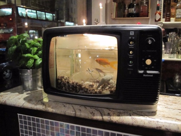 Od-star-televizor-do-nov-unikaten-akvarium-19.jpg