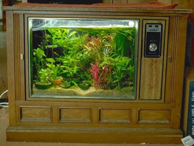 Od-star-televizor-do-nov-unikaten-akvarium-20.jpg