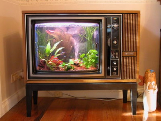 Od-star-televizor-do-nov-unikaten-akvarium-21.jpg