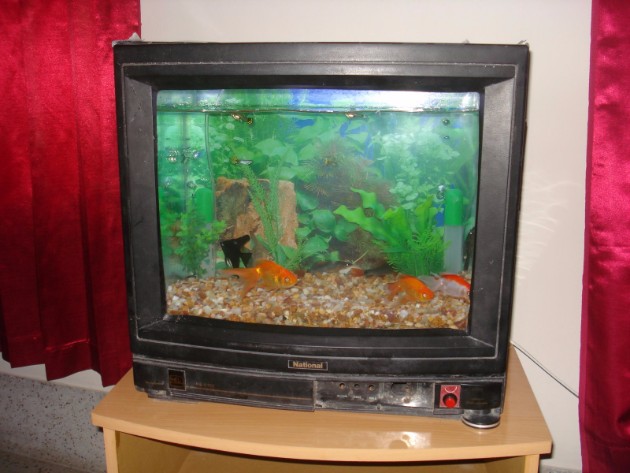 Od-star-televizor-do-nov-unikaten-akvarium-22.jpg