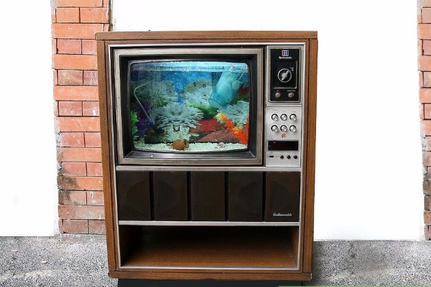 Od-star-televizor-do-nov-unikaten-akvarium (17).jpg