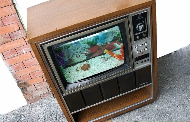Od-star-televizor-do-nov-unikaten-akvarium (18).jpg