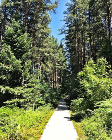 bansko vo bugarija sovrshena destinacija za zima no i leto foto 16