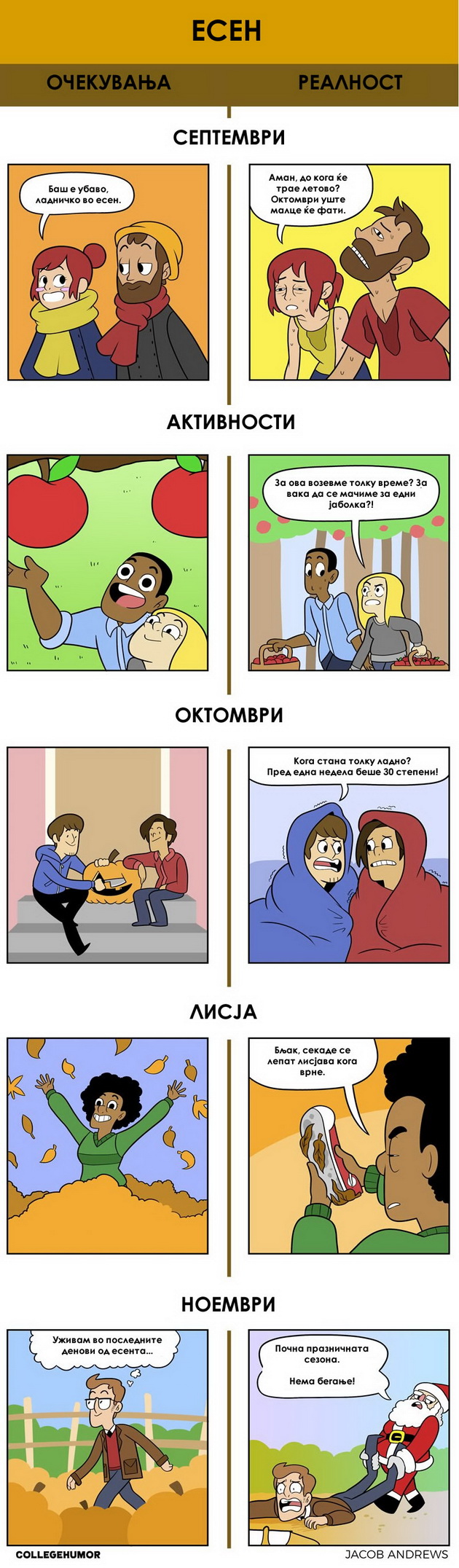 esenta-niz-ilustracii-ochekuvanja-vs-realnost-02.jpg