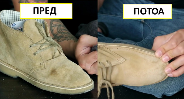 kako-da-gi-odrzhuvate-omilenite-antilop-chevli-uredni-video-01.jpg
