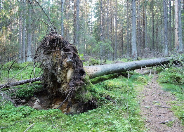 kako-ke-izgledavme-i-sto-ke-se-slucuvase-ako-zemjata-bese-dvapati-pogolema-06.jpg