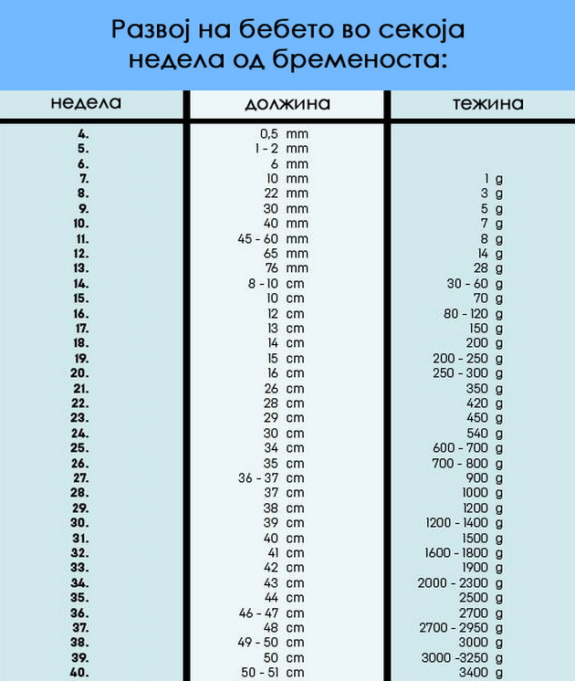 kalendar-za-trudnici-prosecna-dolzina-i-tezina-za-bebeto-vo-sekoja-nedela-001.jpg