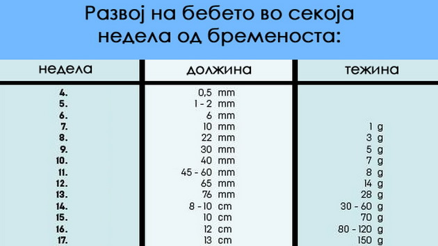 kalendar-za-trudnici-prosecna-dolzina-i-tezina-za-bebeto-vo-sekoja-nedela-2-01.jpg