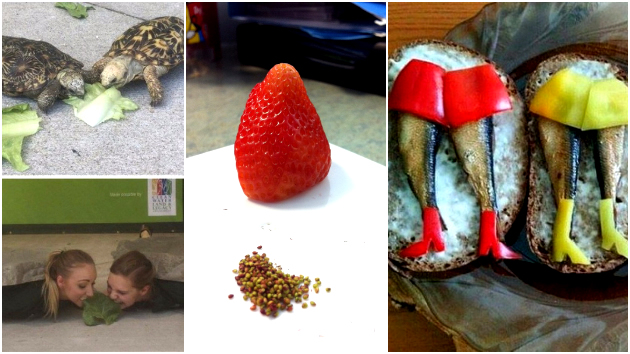 koga-lugjeto-imaat-vishok-vreme-vo-zhivotot-foto-01.jpg
