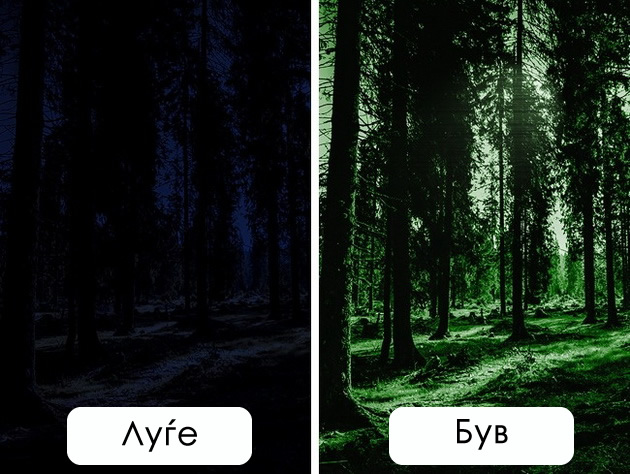 niz-ochite-na-zhivotnite-kako-gledaat-tie-vs-kako-gledame-nie-08.jpg