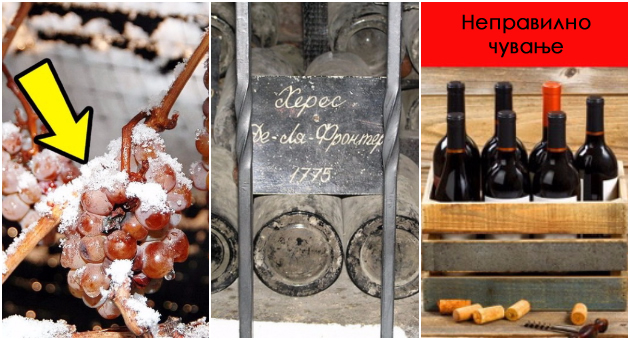 najdobroto-vino-na-svet-chini-5-evra-fakti-za-vinoto-koi-treba-da-gi-znaete-01.jpg
