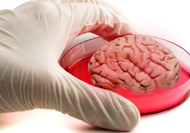 transplantacija-na-glava-3d-pechatenje-na-koza-10-nauchni-otkritija-koi-se-malku-neprijatni-06.jpg