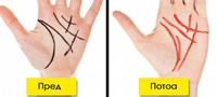 10-neobicni-plasticni-operacii-cija-popularnost-raste-povekje.jpg
