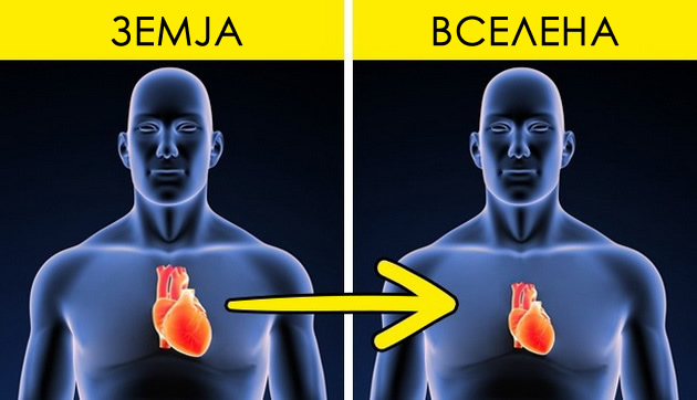 kje-bidete-povisoki-kje-gledate-zamateno-9-raboti-shto-mu-se-sluchuvaat-na-vasheto-telo-vo-vselenata-06.jpg
