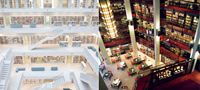 moderni-futuristicki-biblioteki-vo-koi-ke-sakate-da-ja-pominete-sekoja-slobodna-minuta-povekje.jpg