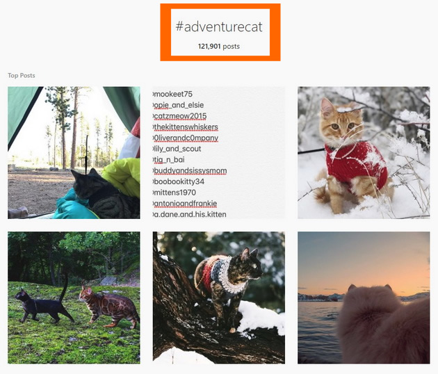 instagram-hashtazi-koi-treba-da-gi-sledite-od-denes-10.jpg