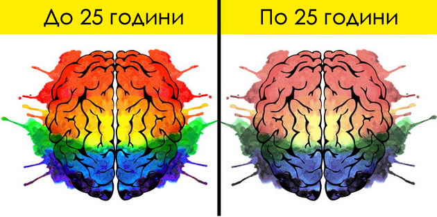 nauchni-otkritija-za-vasheto-zdravje-koi-treba-da-gi-znaete-02.jpg