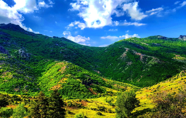 ovoj vikend odime na planinarski marsh na selecka planina 1