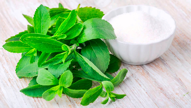 stevia-niskokaloricna-i-prirodna-alternativa-za-beliot-seker-1.jpg