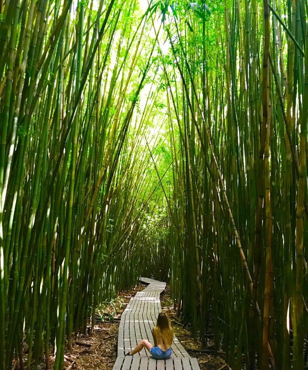Zen-bambusovata-shuma-vo-Japonija-e-odmor-za-ocite-i-umot (3).jpg