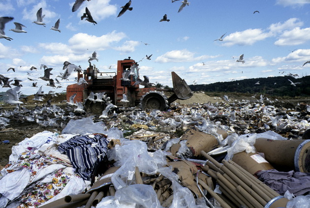 shvedska-reciklira-99-procenti-od-svojot-otpad-13-eko-fakti-za-svetot-vo-koj-ziveeme-02.jpg