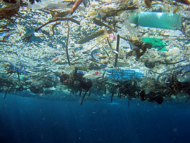 shvedska-reciklira-99-procenti-od-svojot-otpad-13-eko-fakti-za-svetot-vo-koj-ziveeme-03.jpg