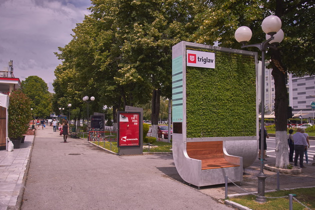 triglav-osiguruvanje-obezbedi-city-tree-za-skopje-vo-partnerstvo-so-eko-svest-i-opstina-aerodrom-01.jpg