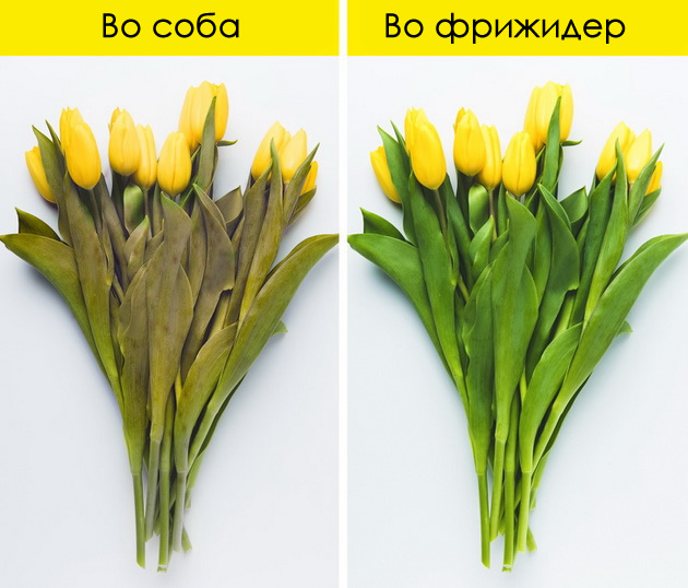 za-poretko-perenje-farmerki-i-podolg-rok-na-hulahopki-za-shto-se-mozhe-da-vi-posluzhi-frizhiderot-06.jpg