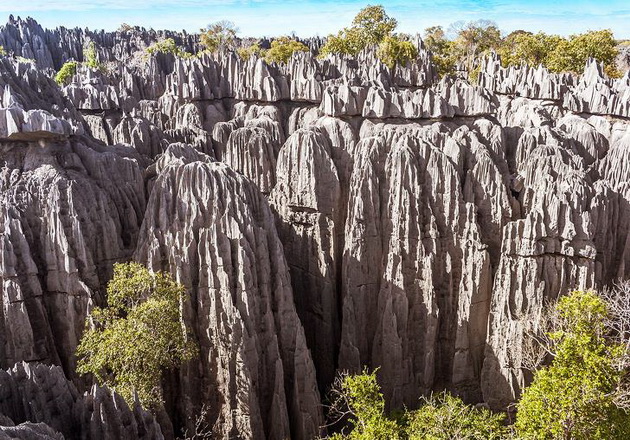 lebarki-od-30-santimetri-tanc-so-koskite-na-pochinatite-12-fakti-za-zivotot-vo-madagaskar-15.jpg