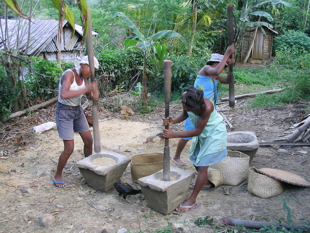 lebarki-od-30-santimetri-tanc-so-koskite-na-pochinatite-12-fakti-za-zivotot-vo-madagaskar-20.jpg