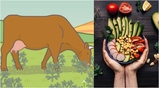 shto-kje-se-sluchi-ako-site-lugje-vo-ist-moment-stanat-vegani-01.jpg
