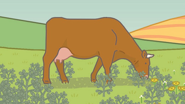 shto-kje-se-sluchi-ako-site-lugje-vo-ist-moment-stanat-vegani-03.jpg