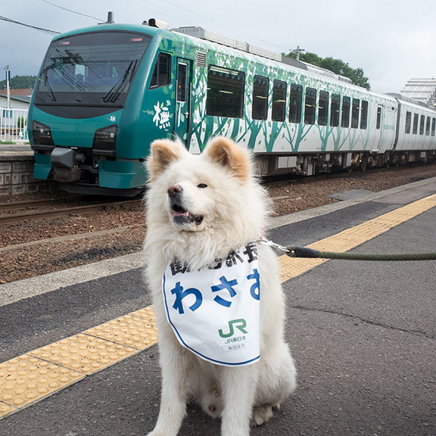 13-raboti-na-koi-makedoncite-kje-se-chudat-ako-odat-vo-japonija-03.jpg