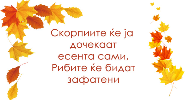 astro-kjoshe-koi-znaci-ovaa-esen-ke-ostanat-sami-a-koi-ke-najdat-partner-001.jpg