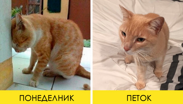 13-greshki-vo-30-tite-za-koi-kje-se-kaete- potoa-09 .jpg