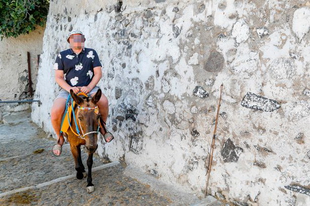 na-santorini-stapi-na-sila-zabrana-debelite-turisti-ne-smeat-da-javaat-magarinja-11.jpg